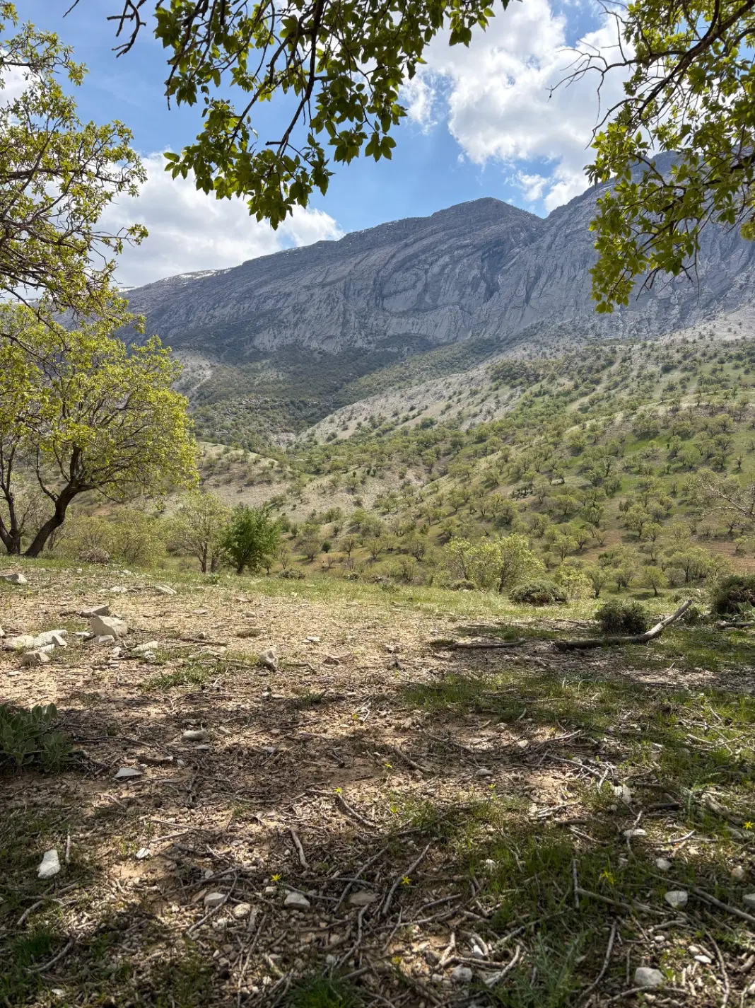 زمین مسکونی  آماده ساخت  سند تک برگ جدید