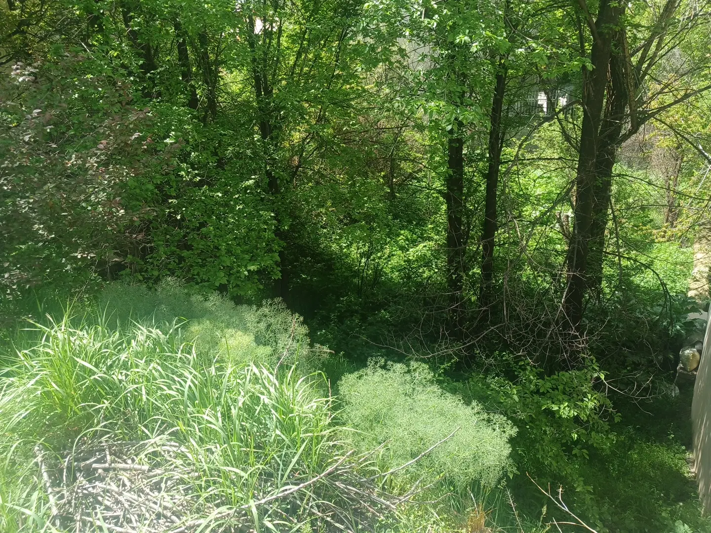 یک قطعه زمین ۲۷۵ متری
