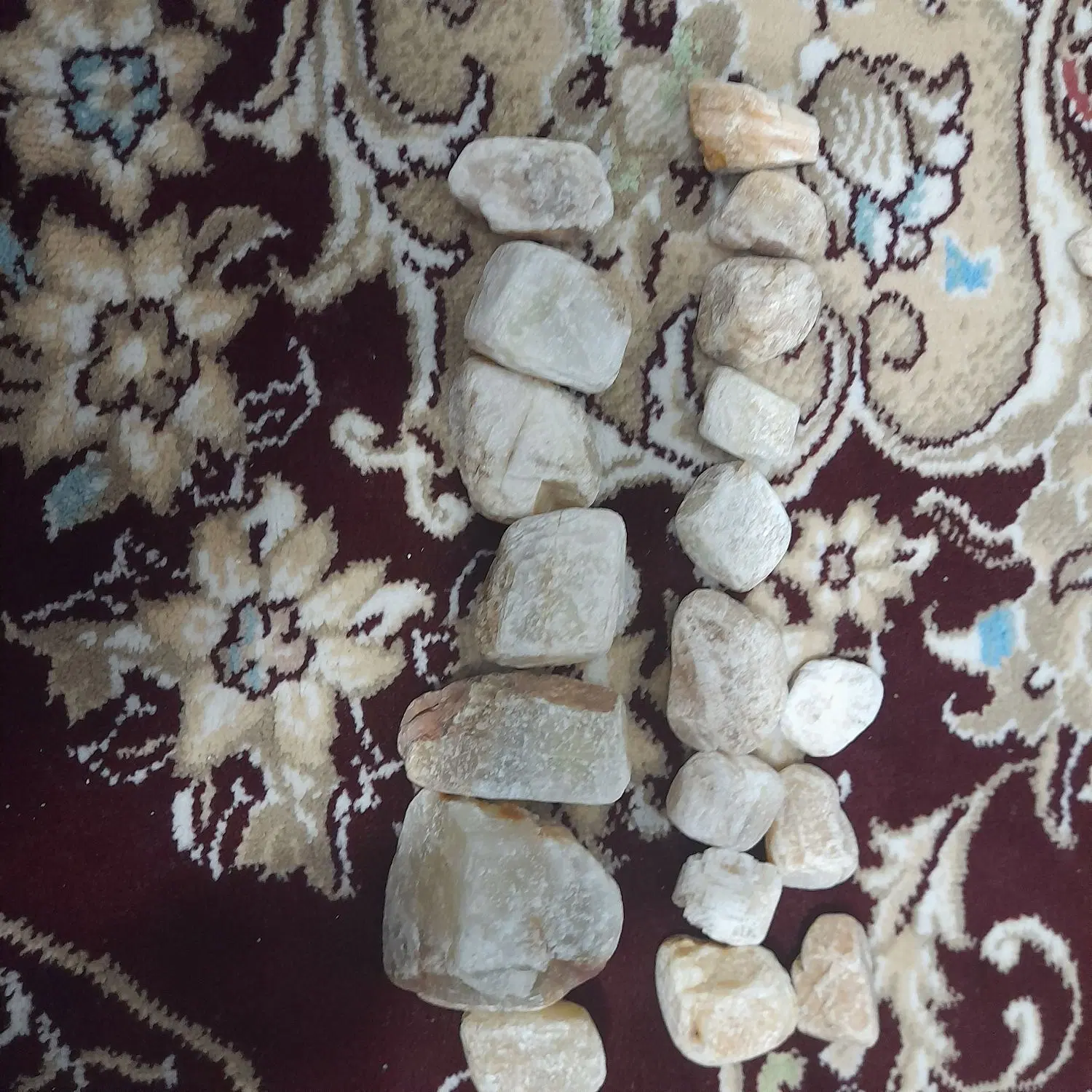 شراکت زعفران