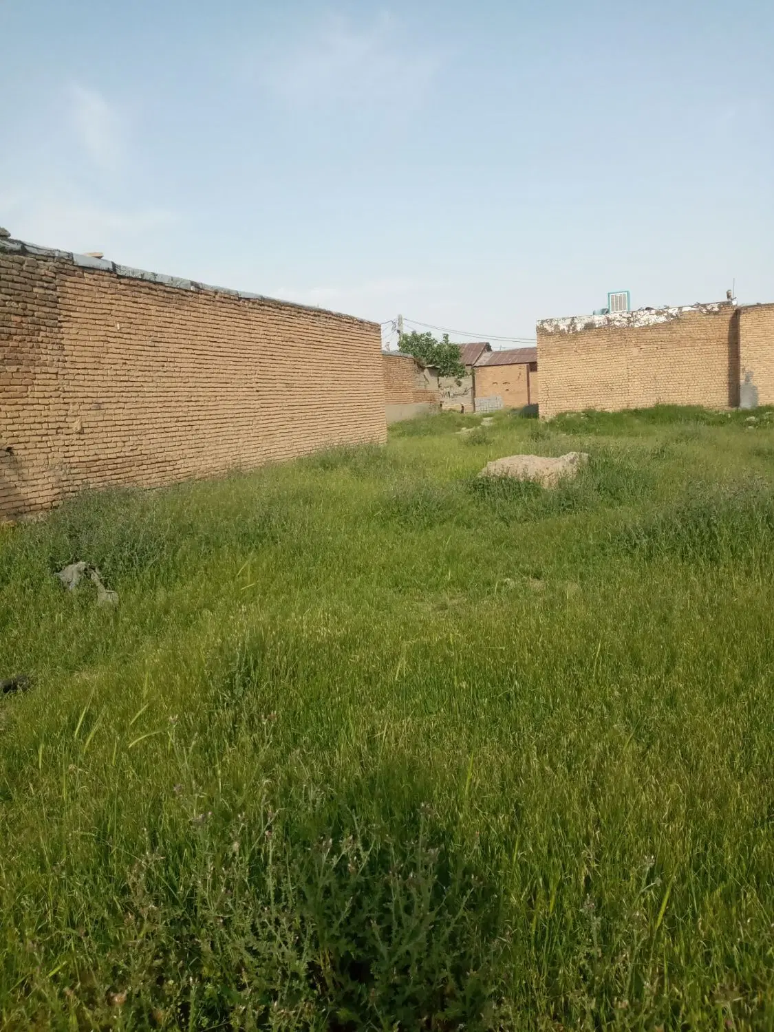 زمین کرناچی