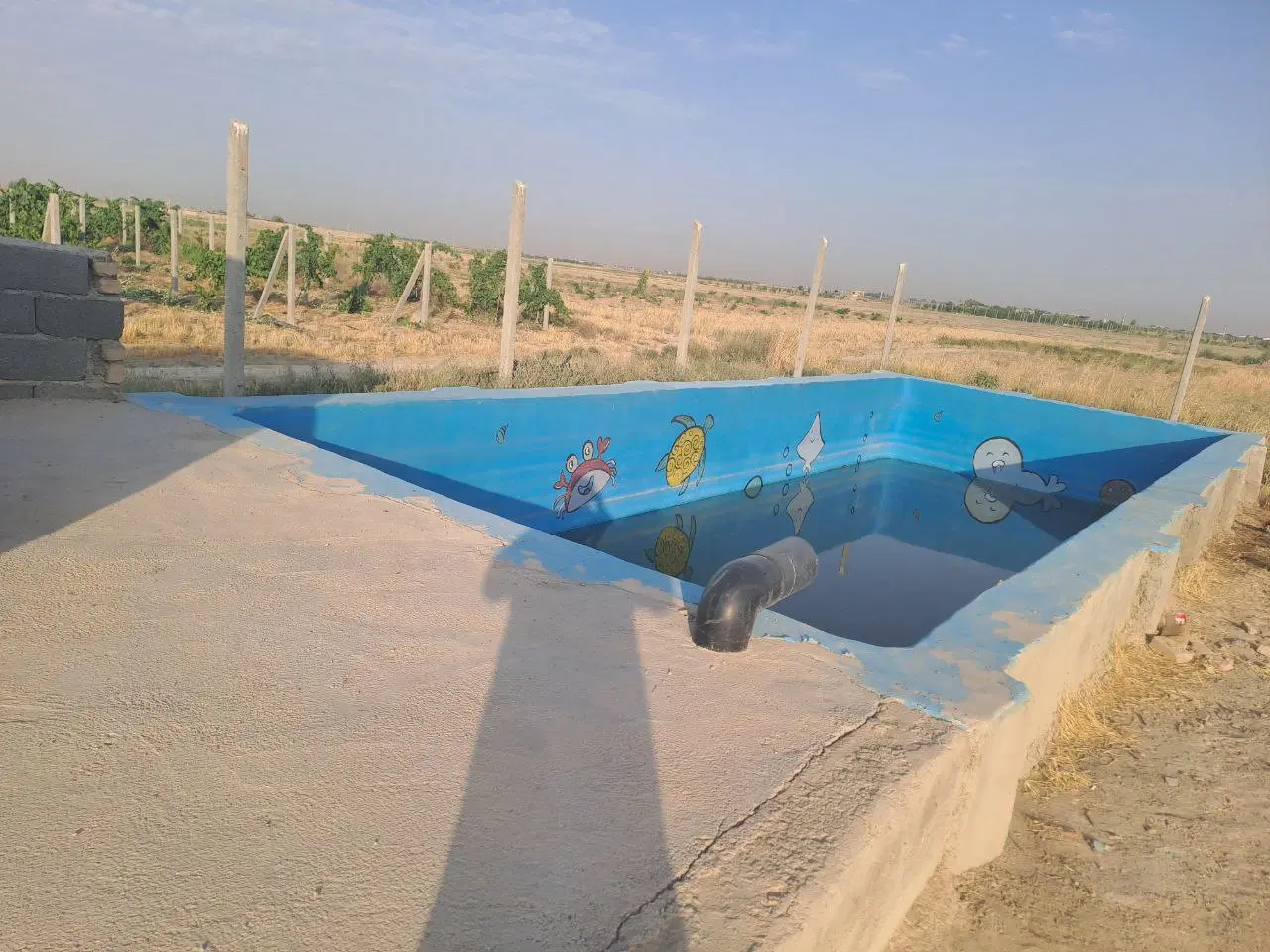 باغچه حدود ۱۰۰۰ متری هشتگرد تنکمان