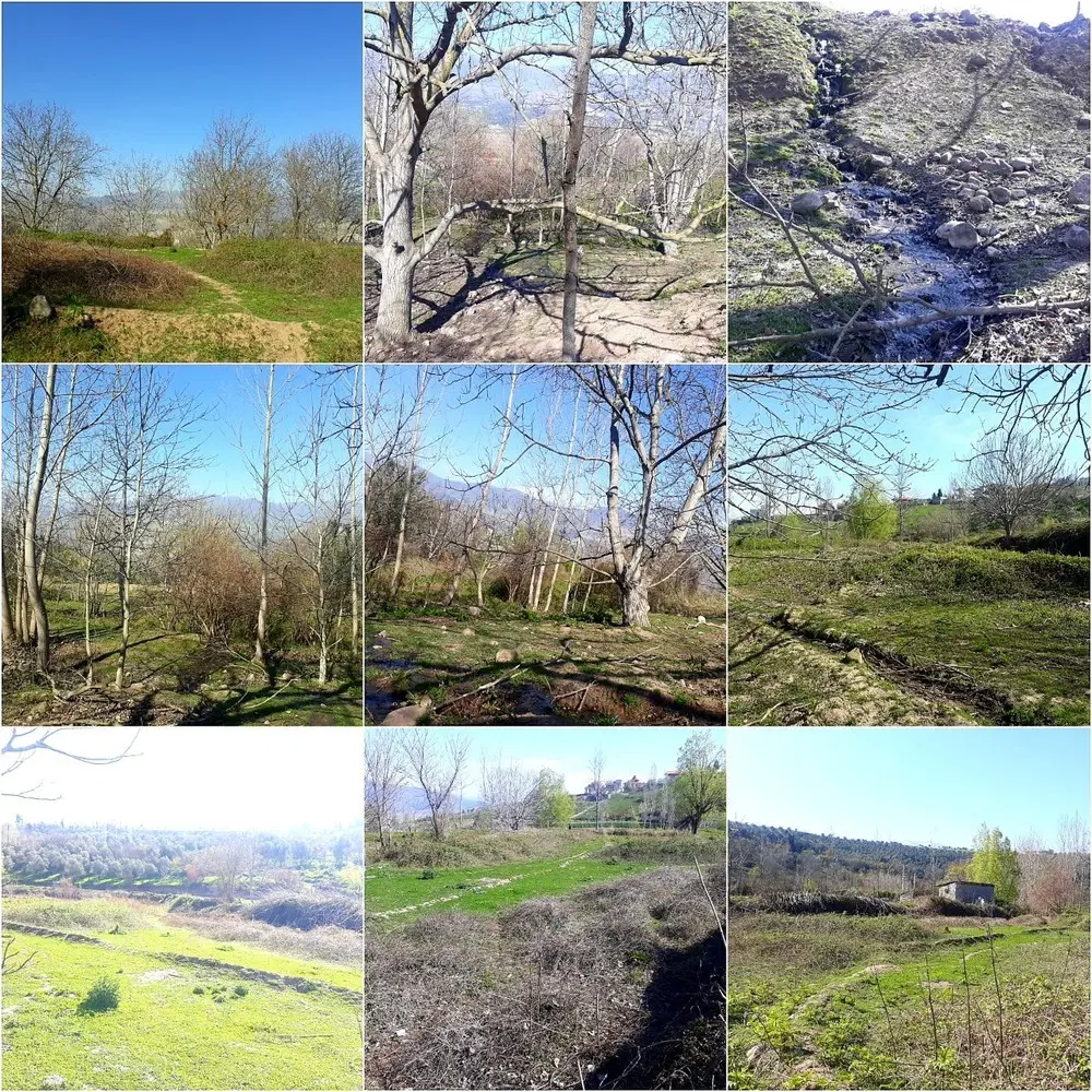 باغ ۶۰۰۰ متری (۵ اصله گردو 50 ساله) رودبار