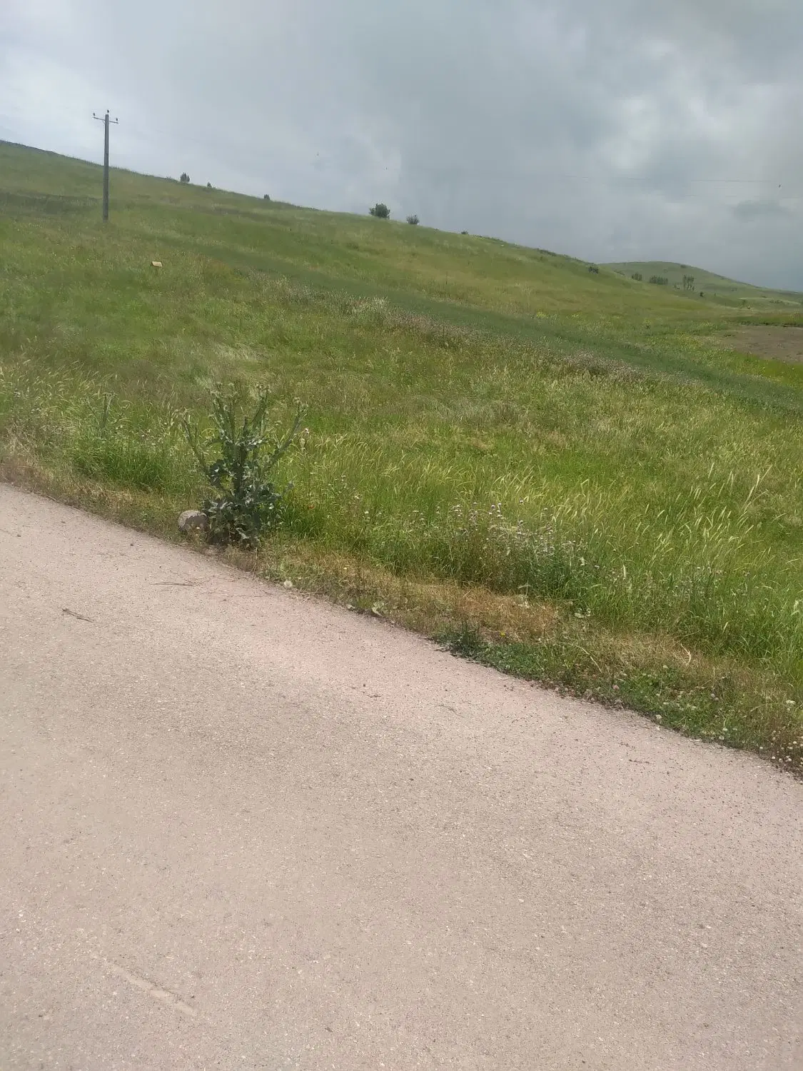 زمین ویلایی روستای چهل گز بخش سردابه