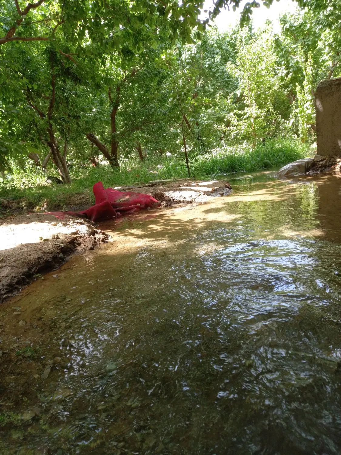 باغ در باغستان شهریار