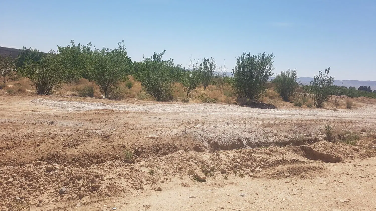 زمین زراعی(کشاورزی)