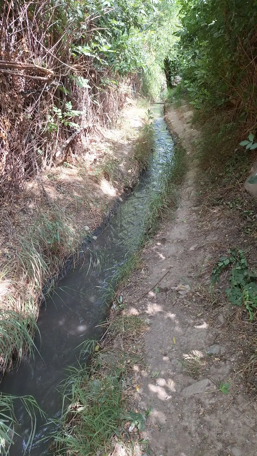 باغچه ۵۰۰ متر در بهترین موقعیت مکانی دنج
