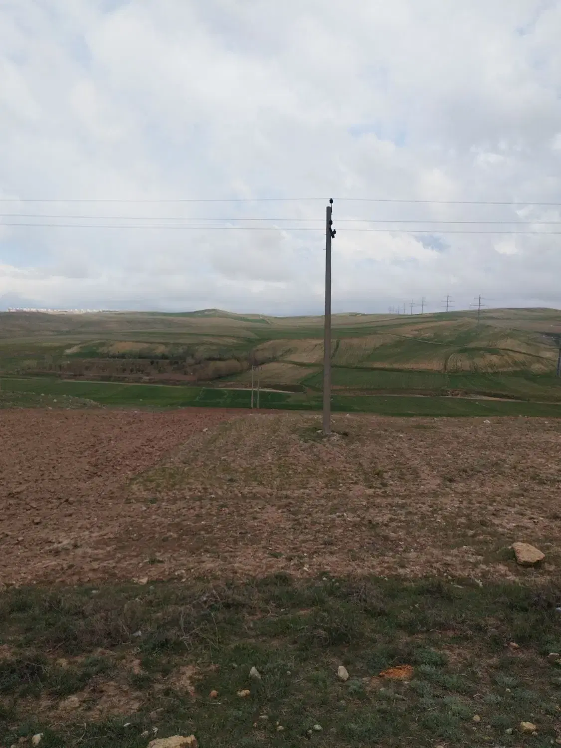 زمین سند دار شام اسبی