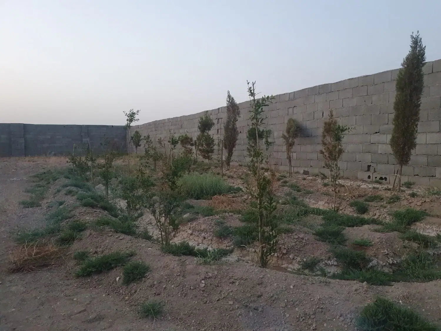 چهار دیواری