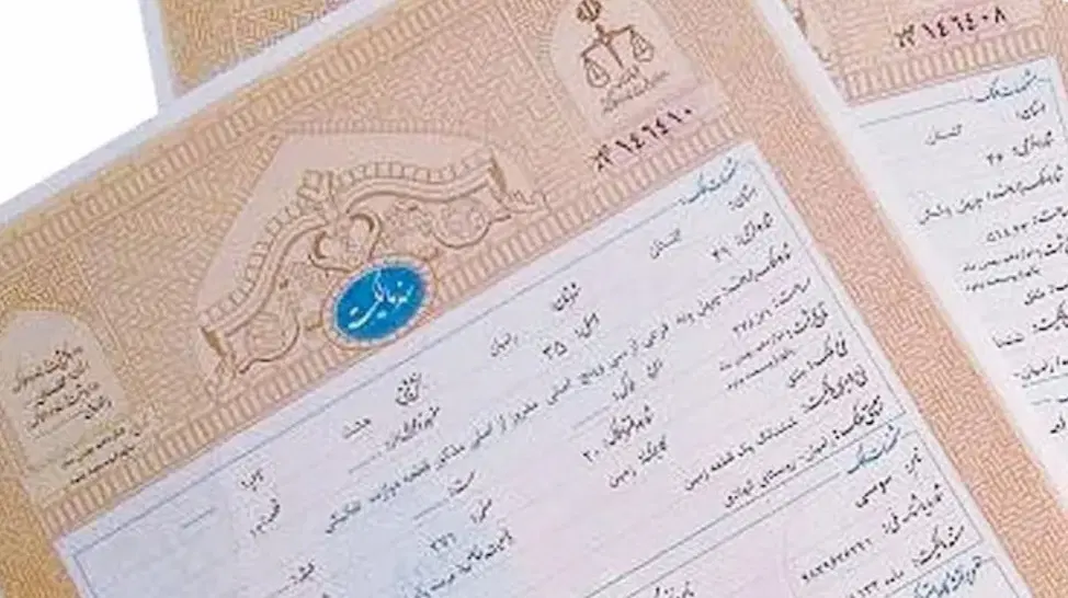 زمین سند تک برگ فرهنگ شهر