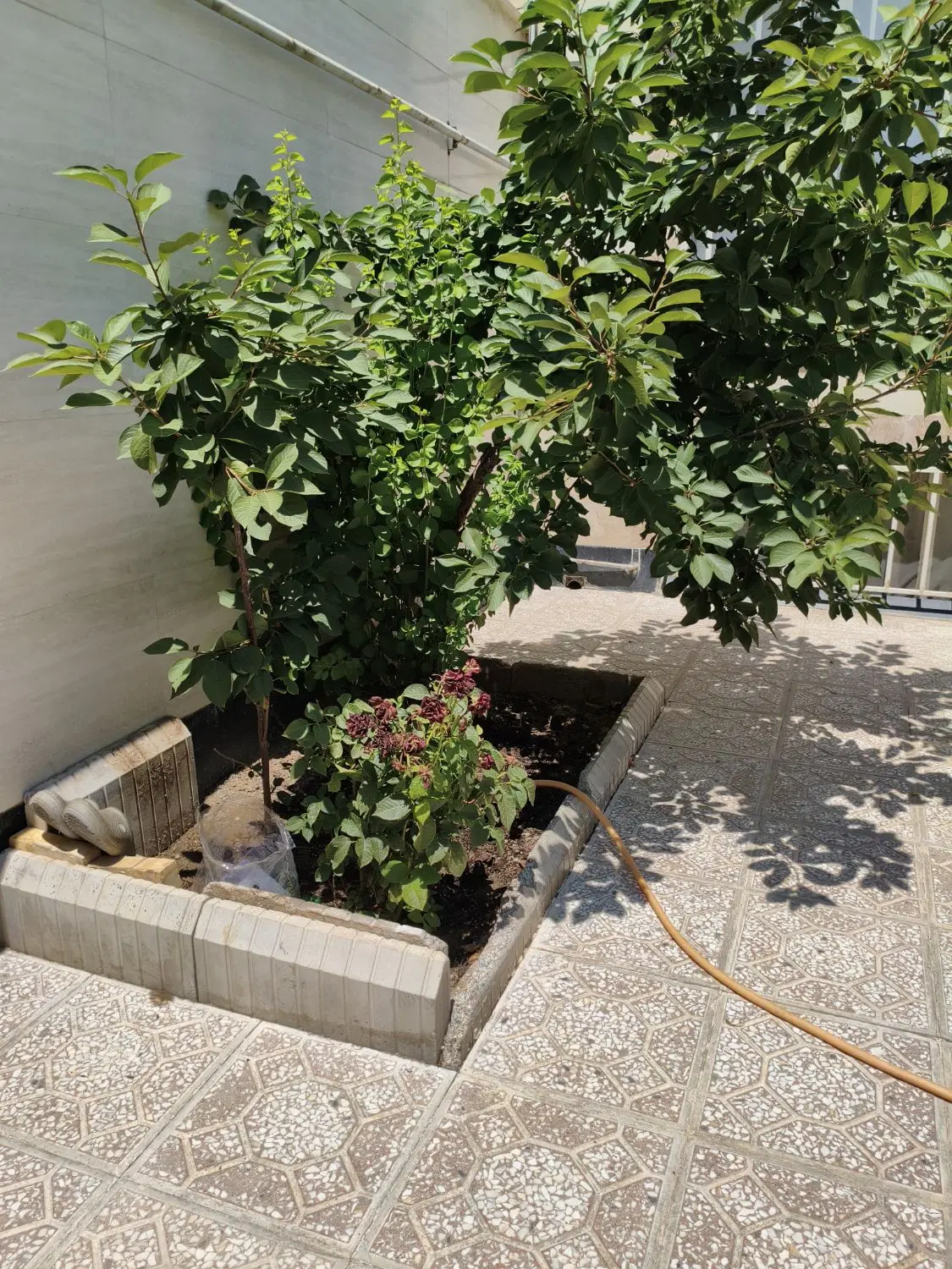 خانه ویلایی