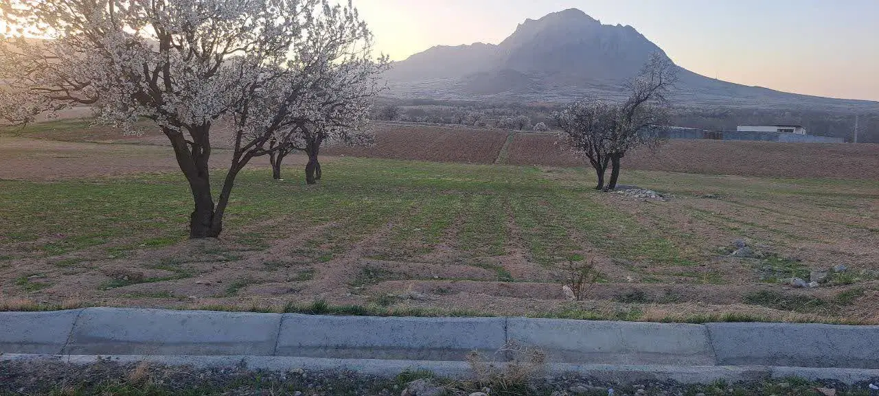 زمین کشاورزی فروشی