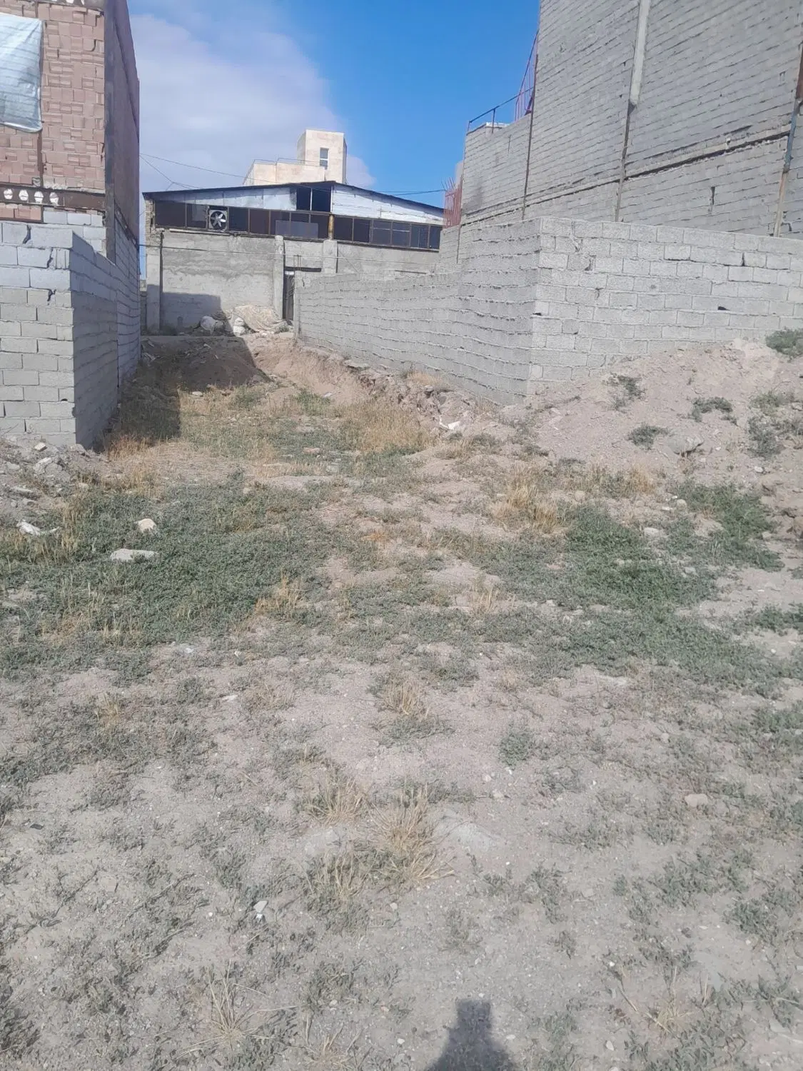 زمین در نیستان