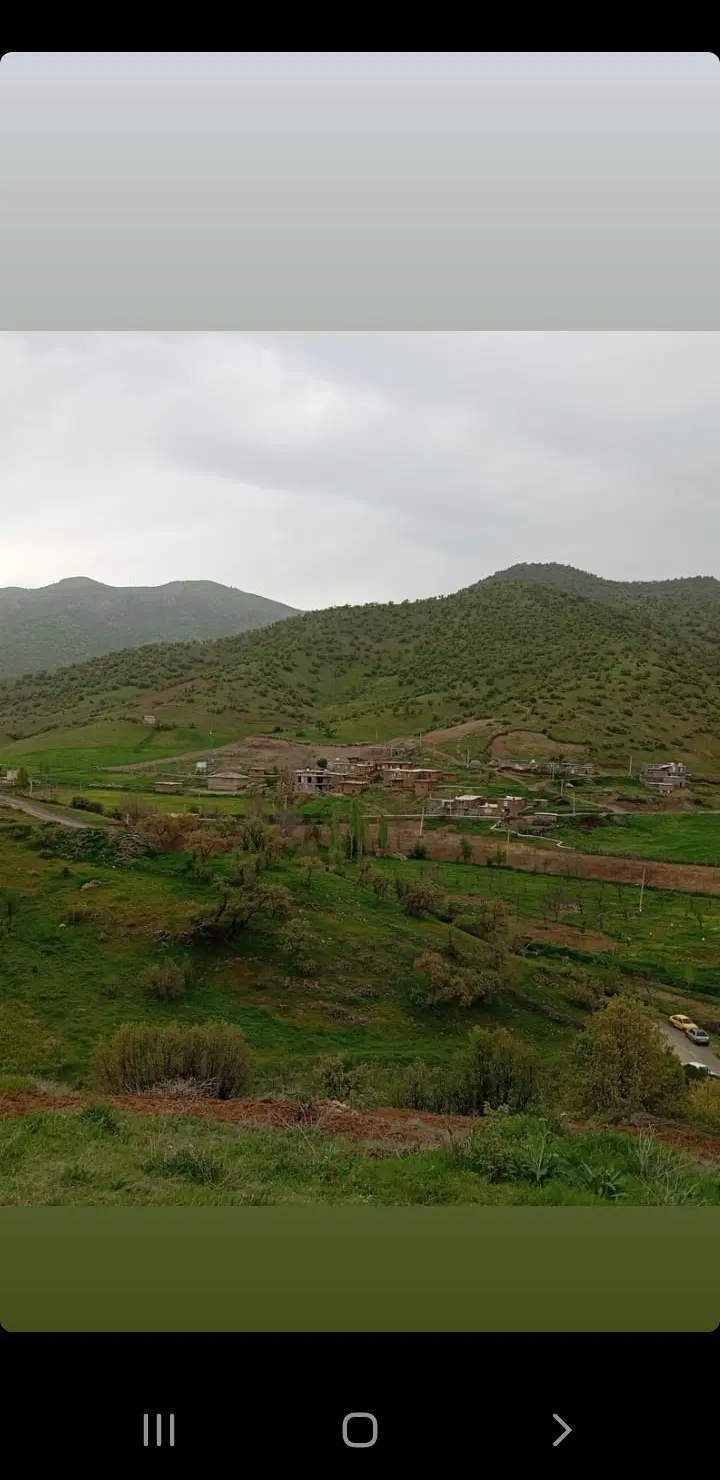 زمین مسکونی ۱۰۴ متری پشت باسکول