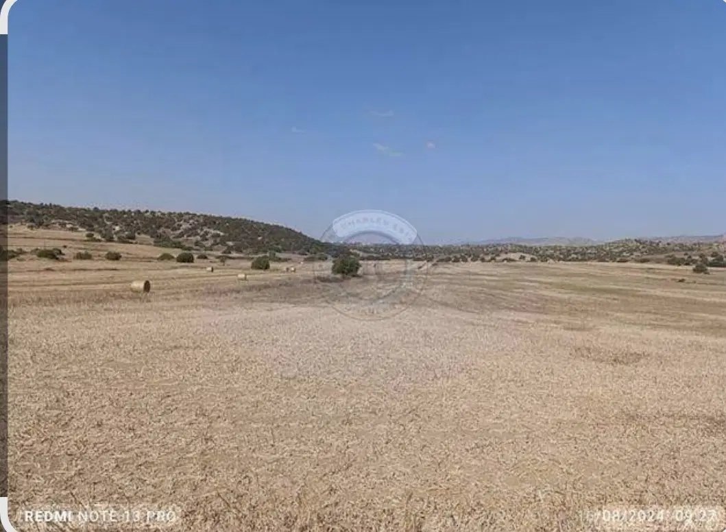 زمین مسکونی