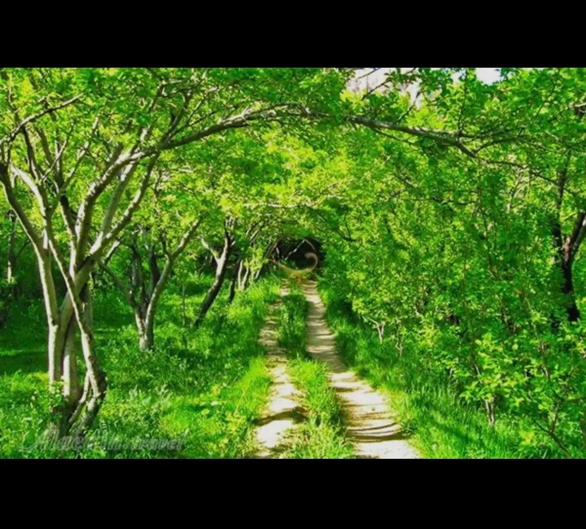 فروش یه قطعه زمین در روستای بقیع نیشابور