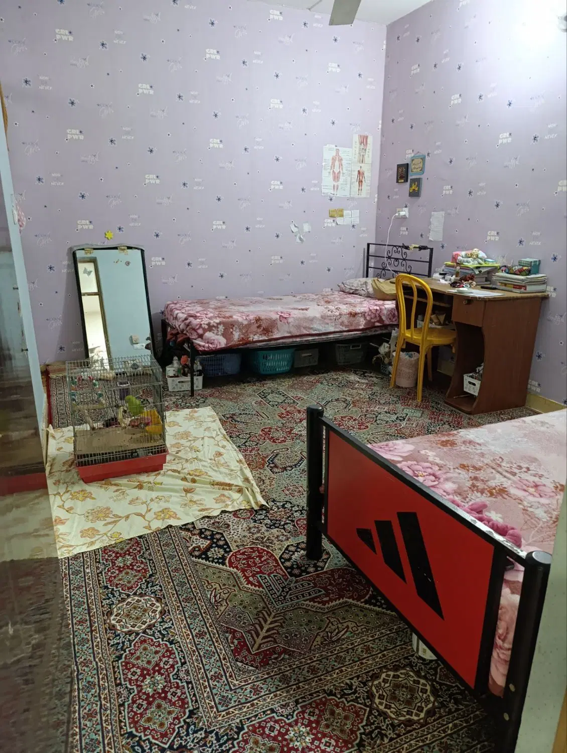 ویلایی تنگک