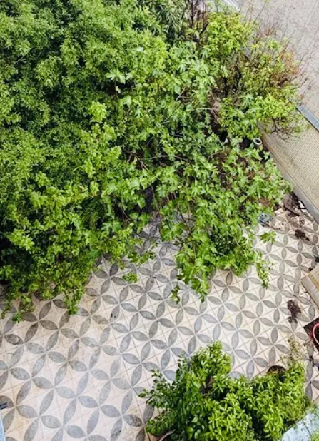 طبقه ویلایی حیاط دار