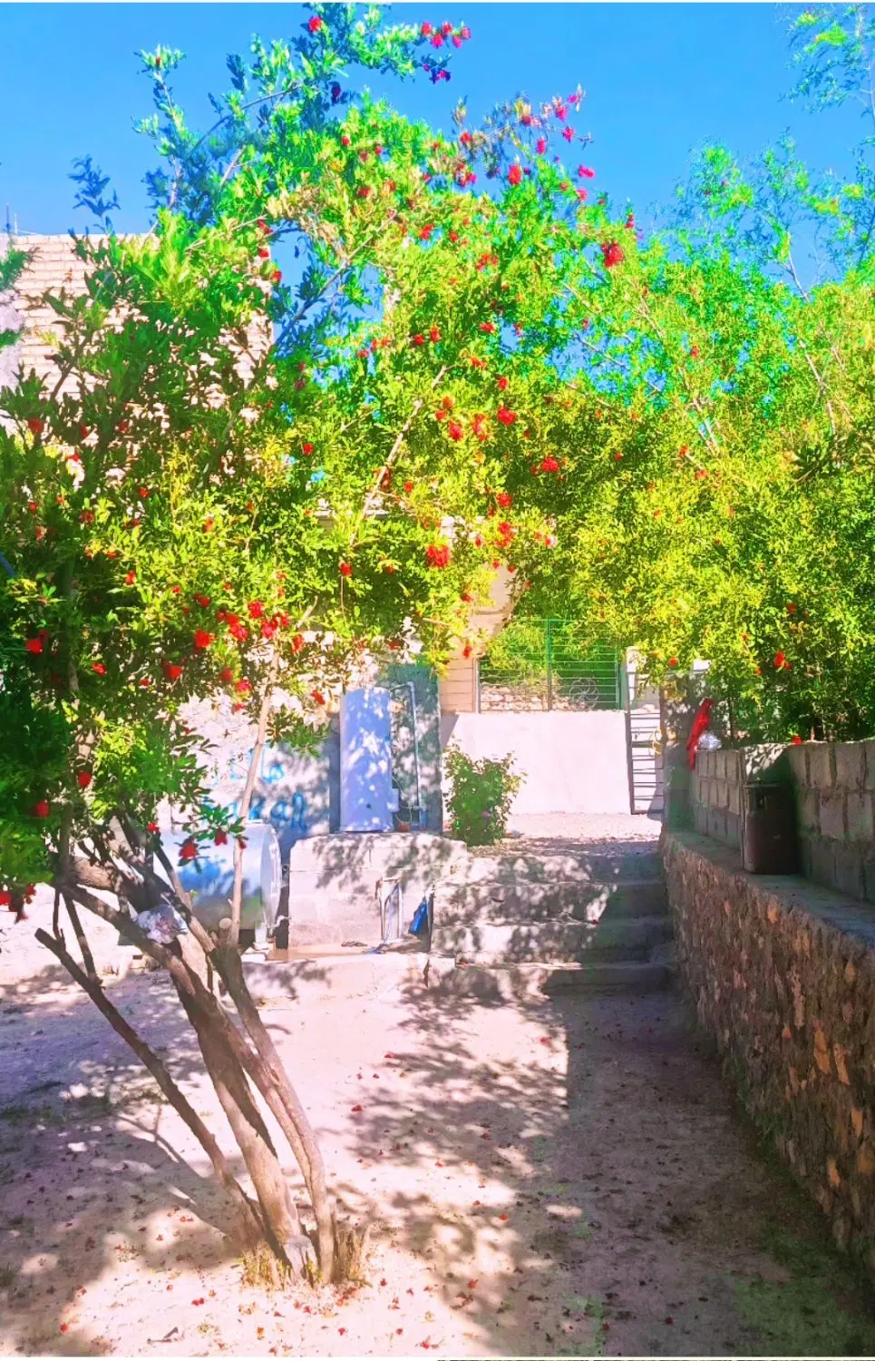 خونه ویلایی دهدشت چرام روستای طسوج امامزاده گلبهار
