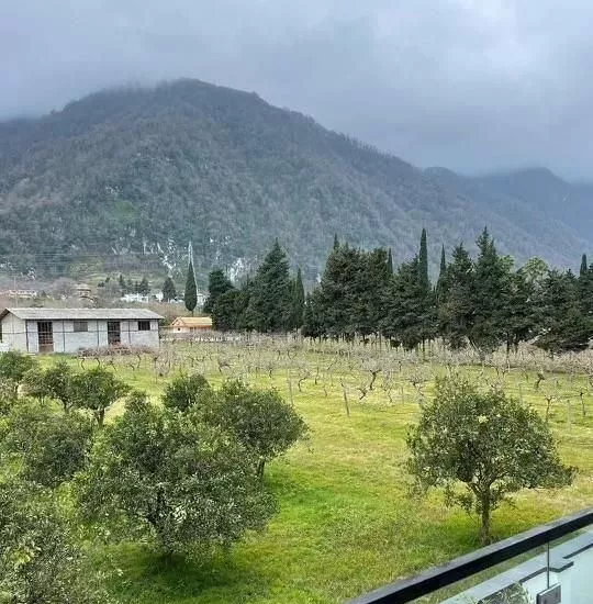 ویوی میلیون دلاری برای کسانی که پایین زندگی نمیکنن