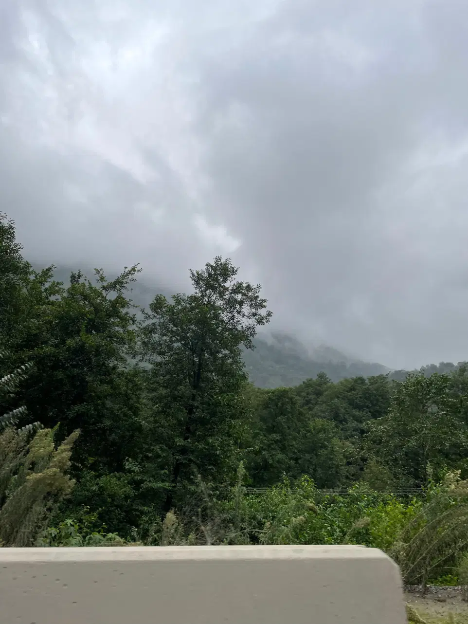 عکس تزعینی