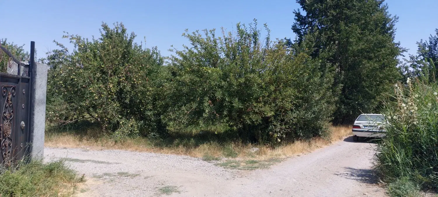 باغچه (قطعه ویلایی)