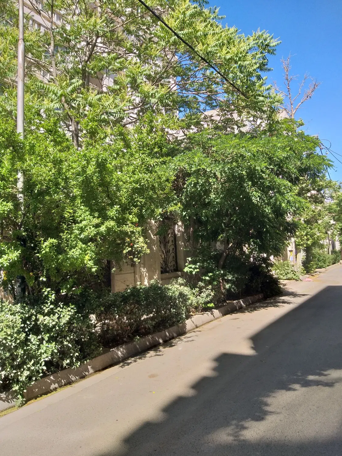 آپارتمان فروشی_ 2پارکینگ_ تاپ لوکیشن_ 3خواب