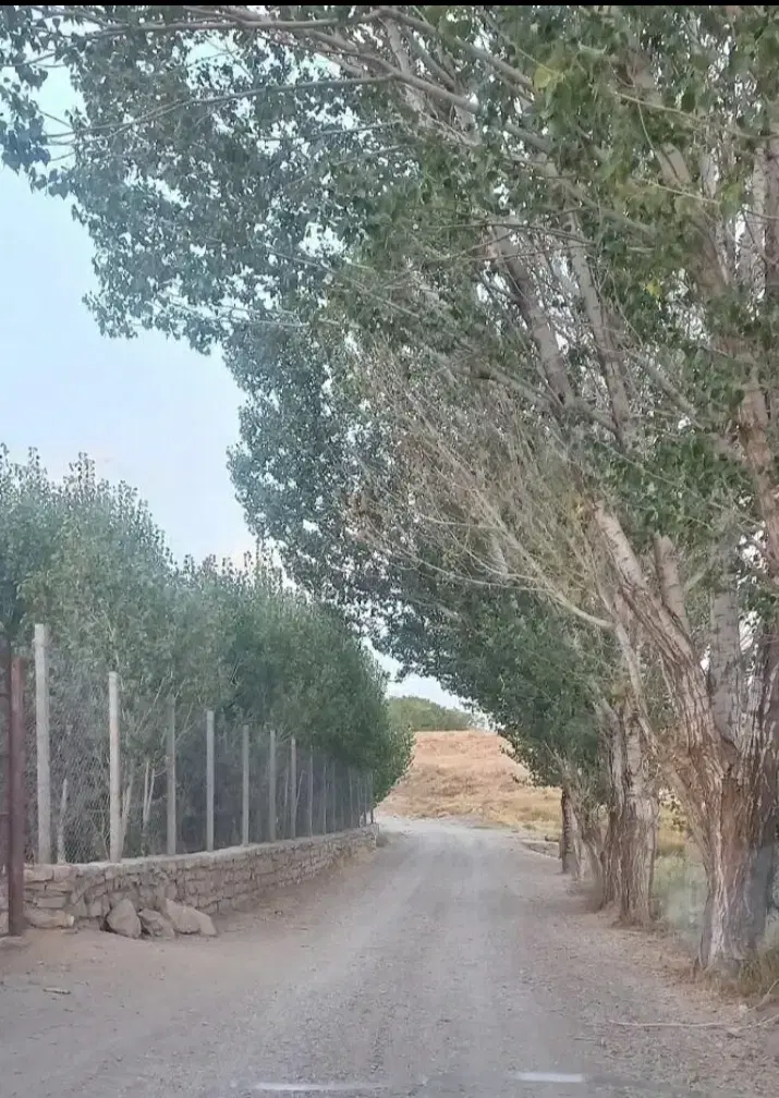 ۱۰۰۰ متر زمین باغی سیمین