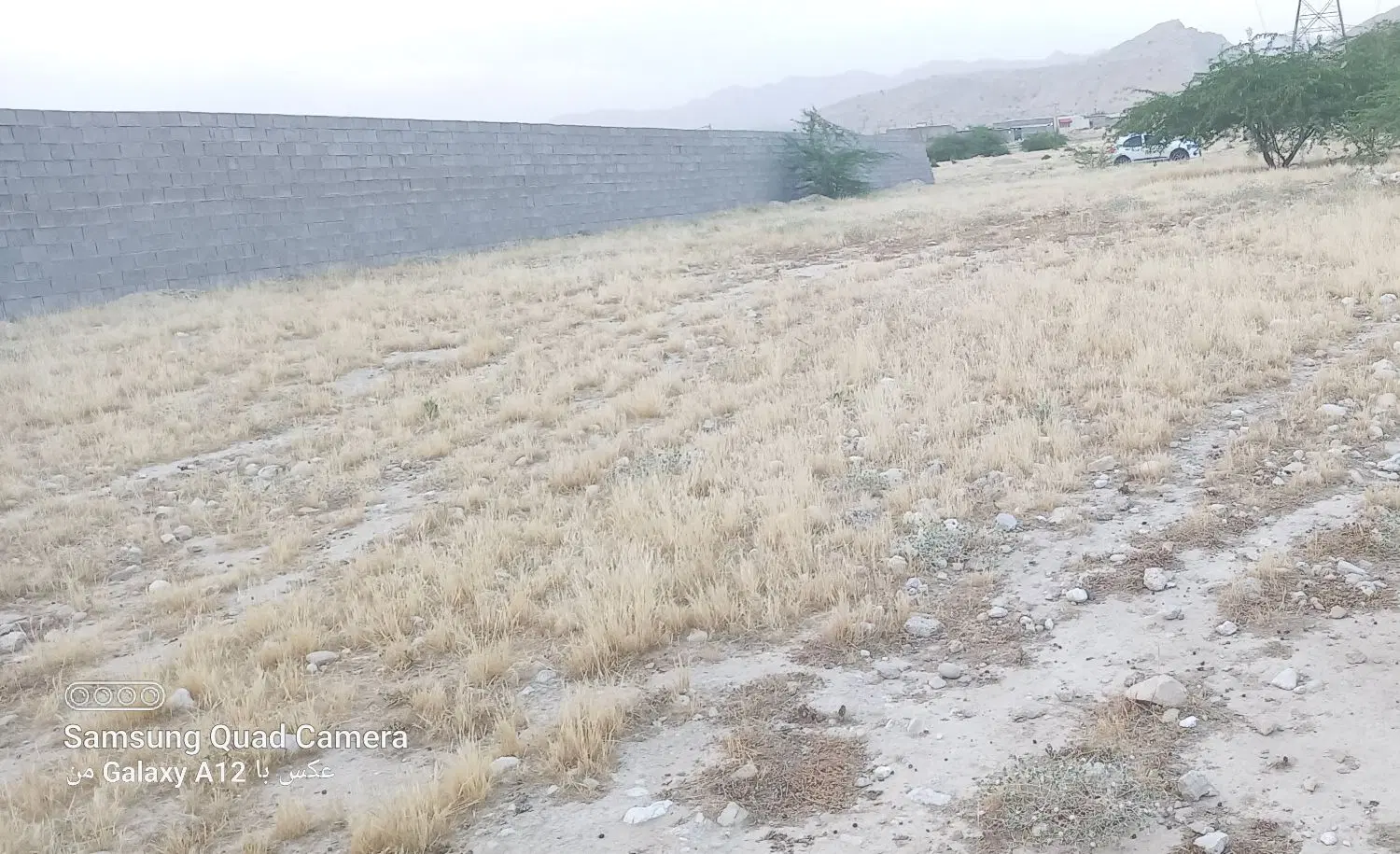 فروش زمین کشاورزی در دالکی
