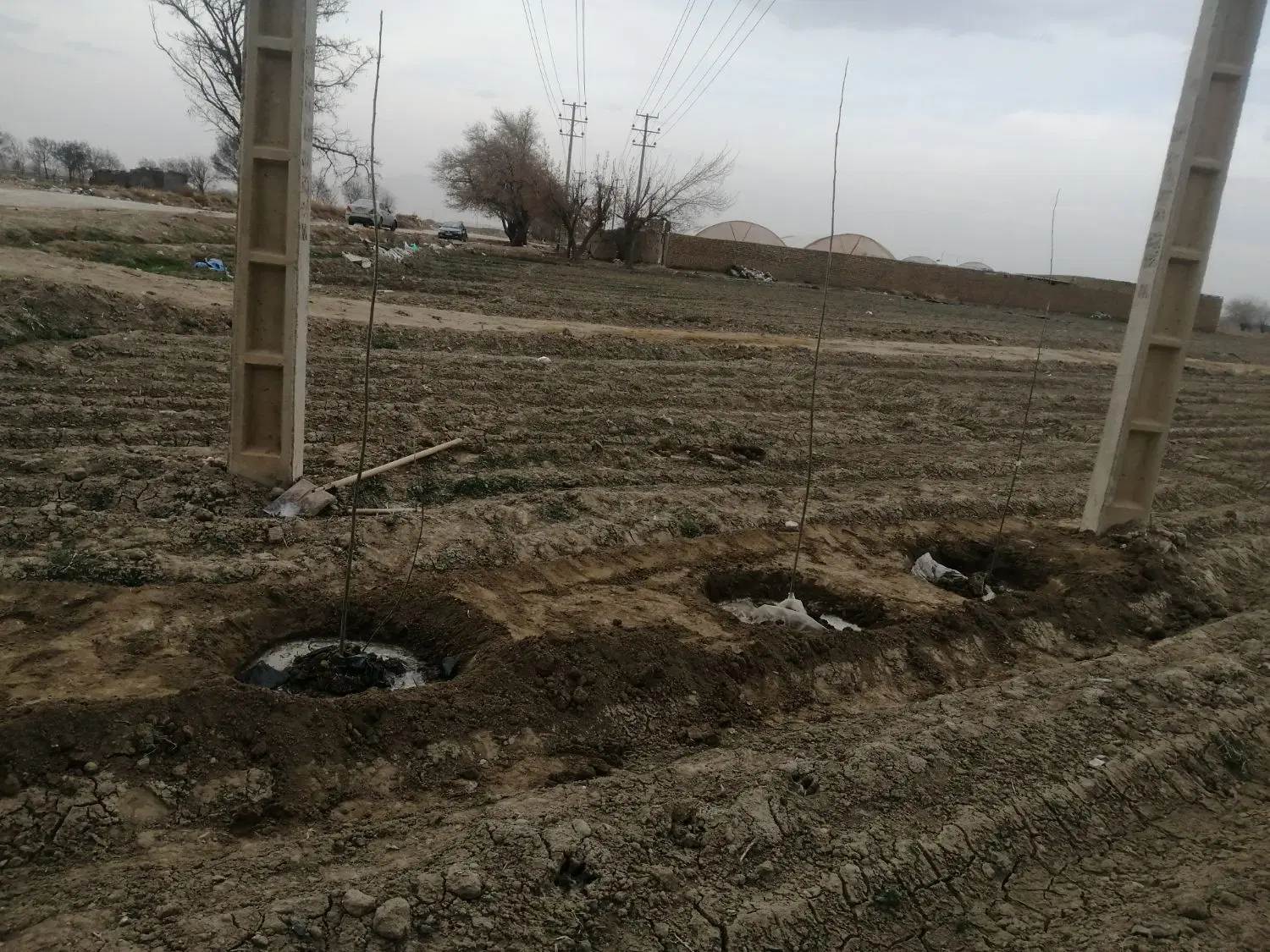 زمین 1000متری اوینی