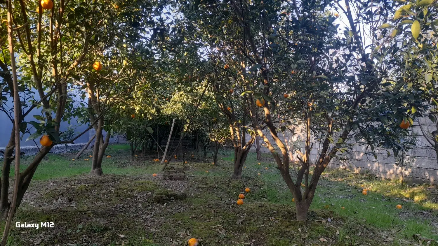 فروش زمین