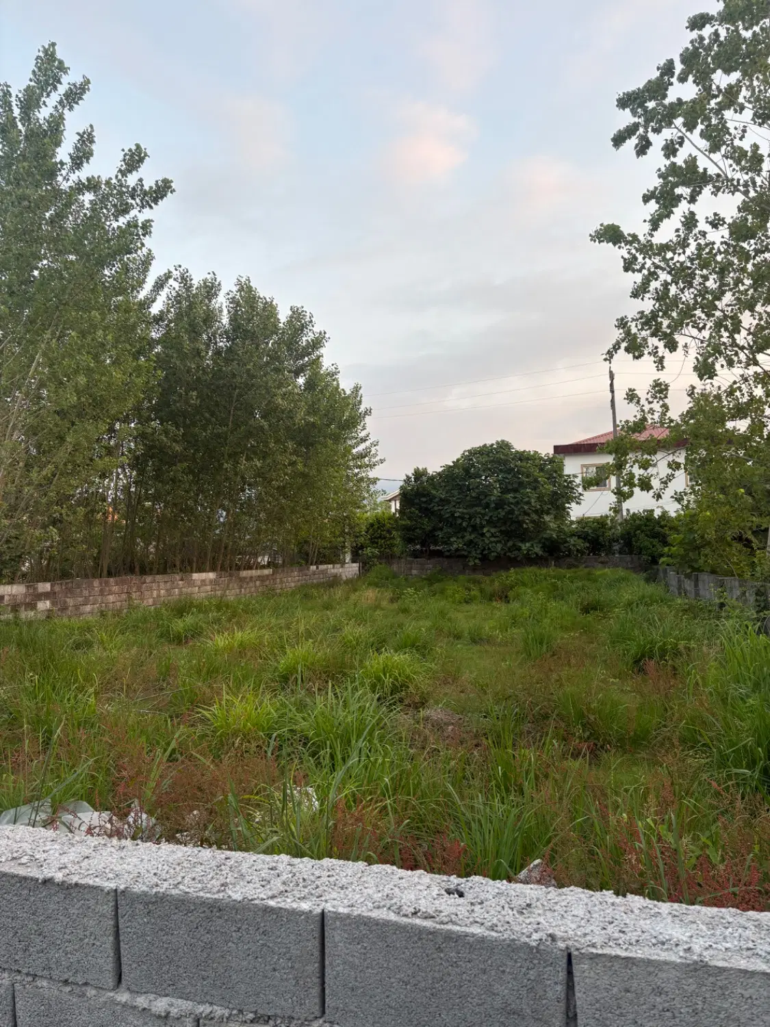 زمین مسکونی تازه آباد چالوس