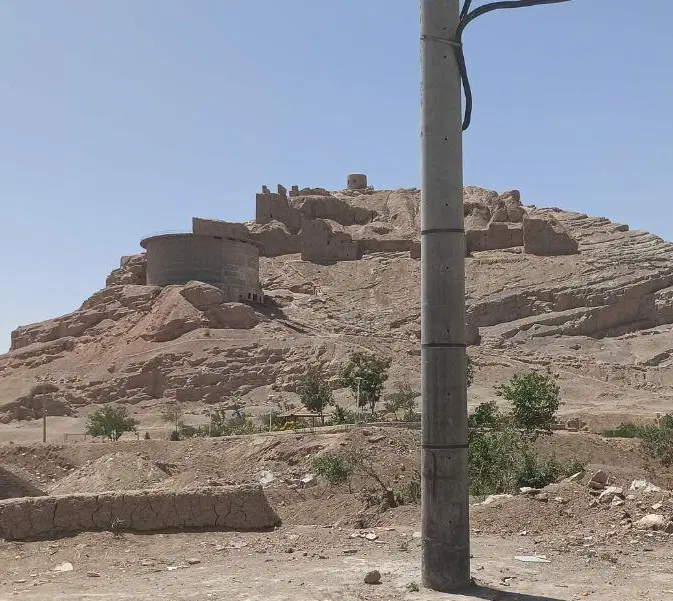 زمین باغی سند تک برگ