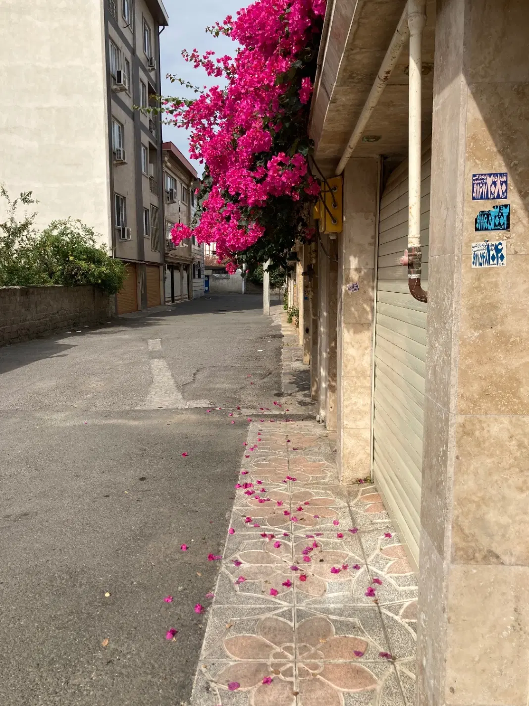 واحد مستقل راه جدا شیک حیاط دار نزدیک استخر