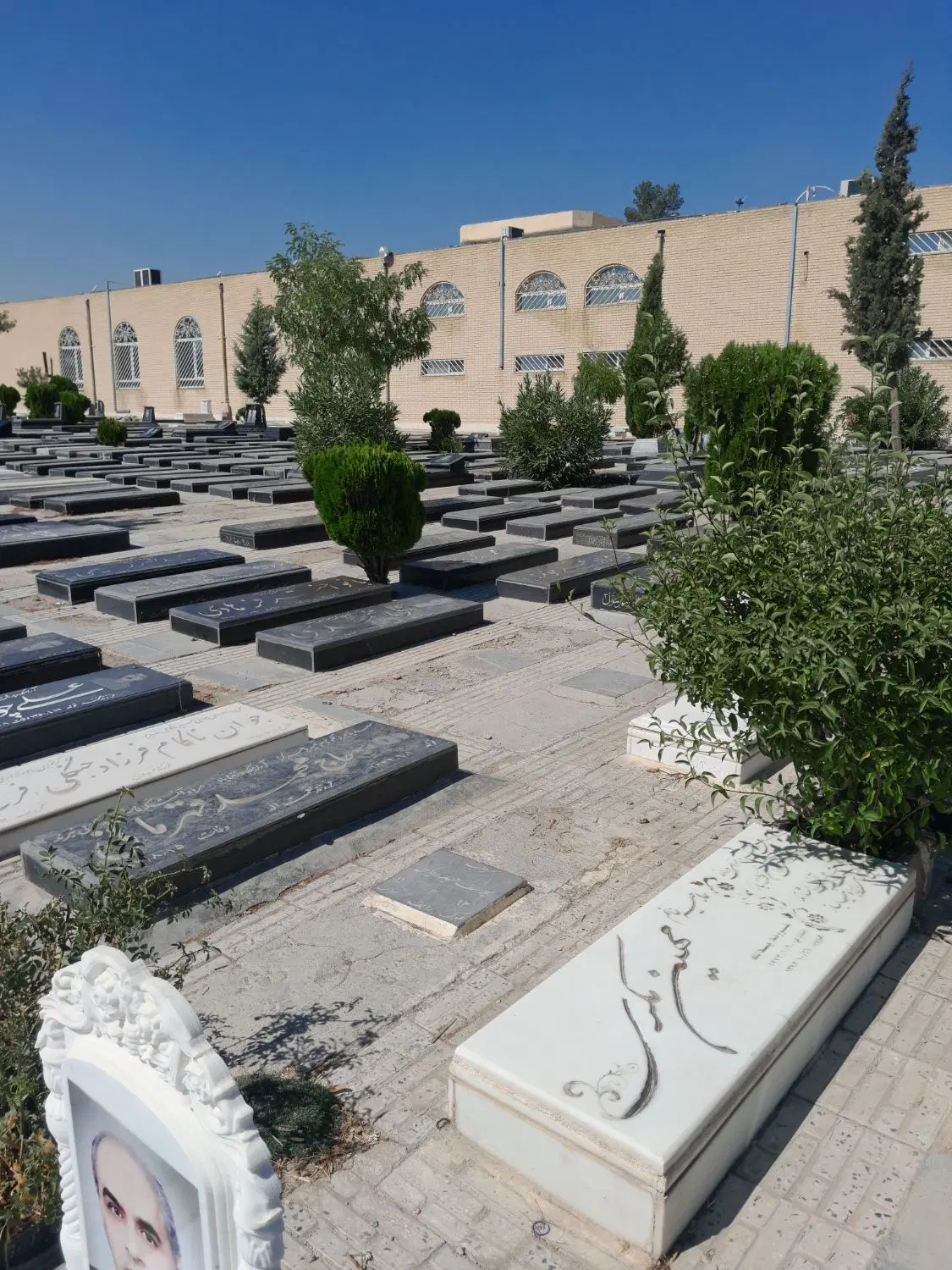 فروش قبر