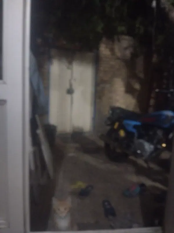باغ حصار در باغ معروف