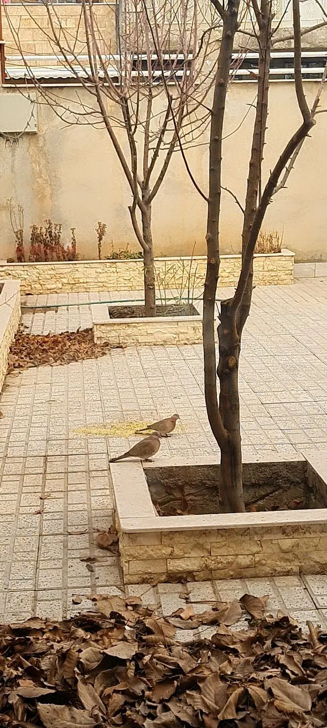 فروش زمین و خونه.