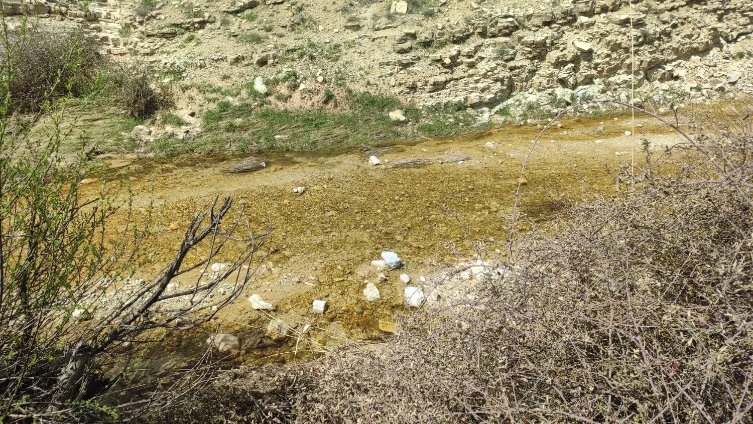 زمین مناسب باغچه و ویلا