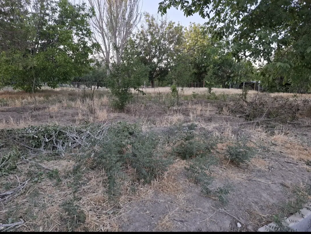باغ انتهای کرهرود
