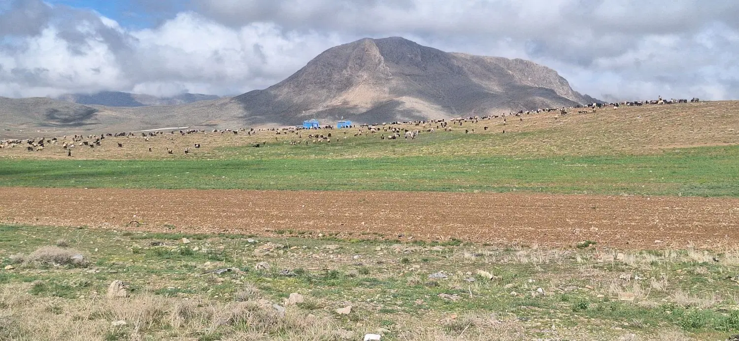 همخونه میخام آقام