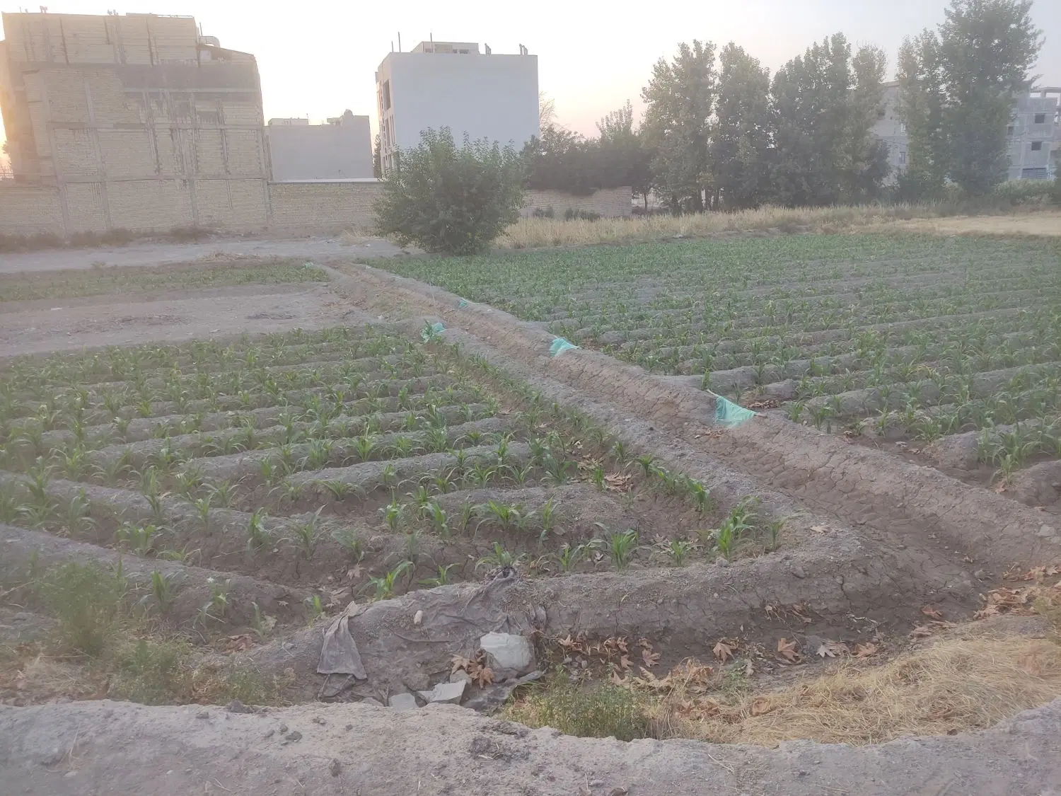 زمین ساختمانی