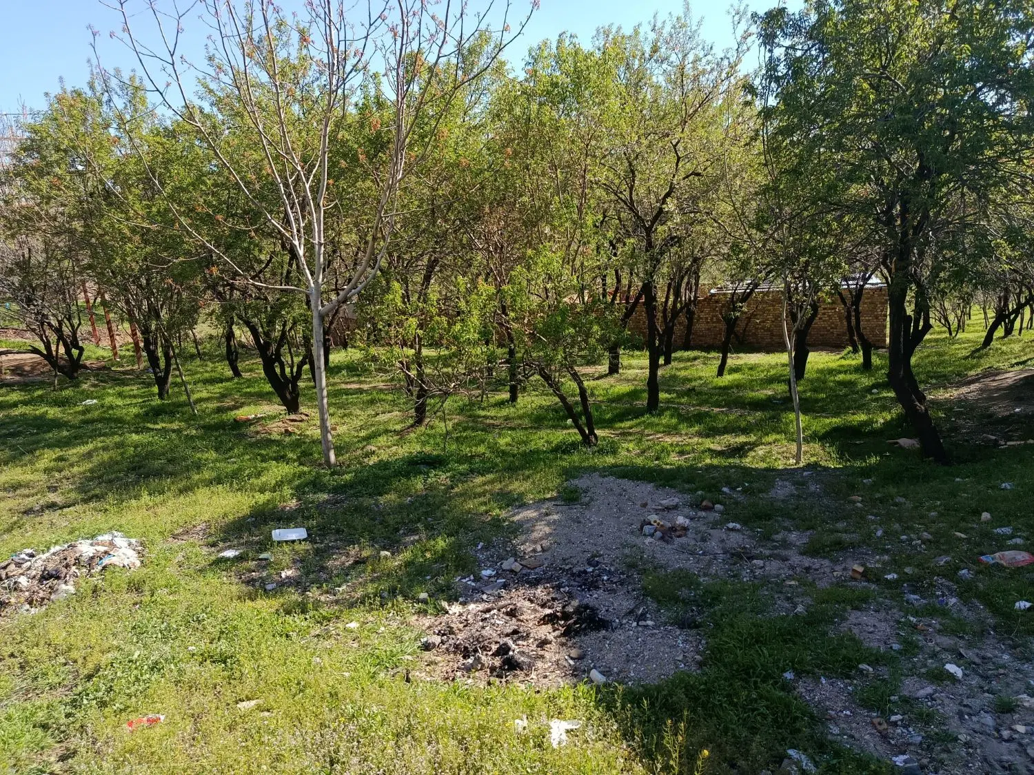 500 متر زمین روستای دهگاه