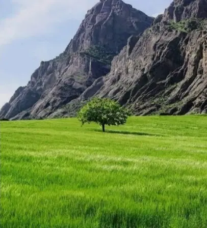 زمین مسکونی  پلیس راه پشت دانشگاه پیام نور