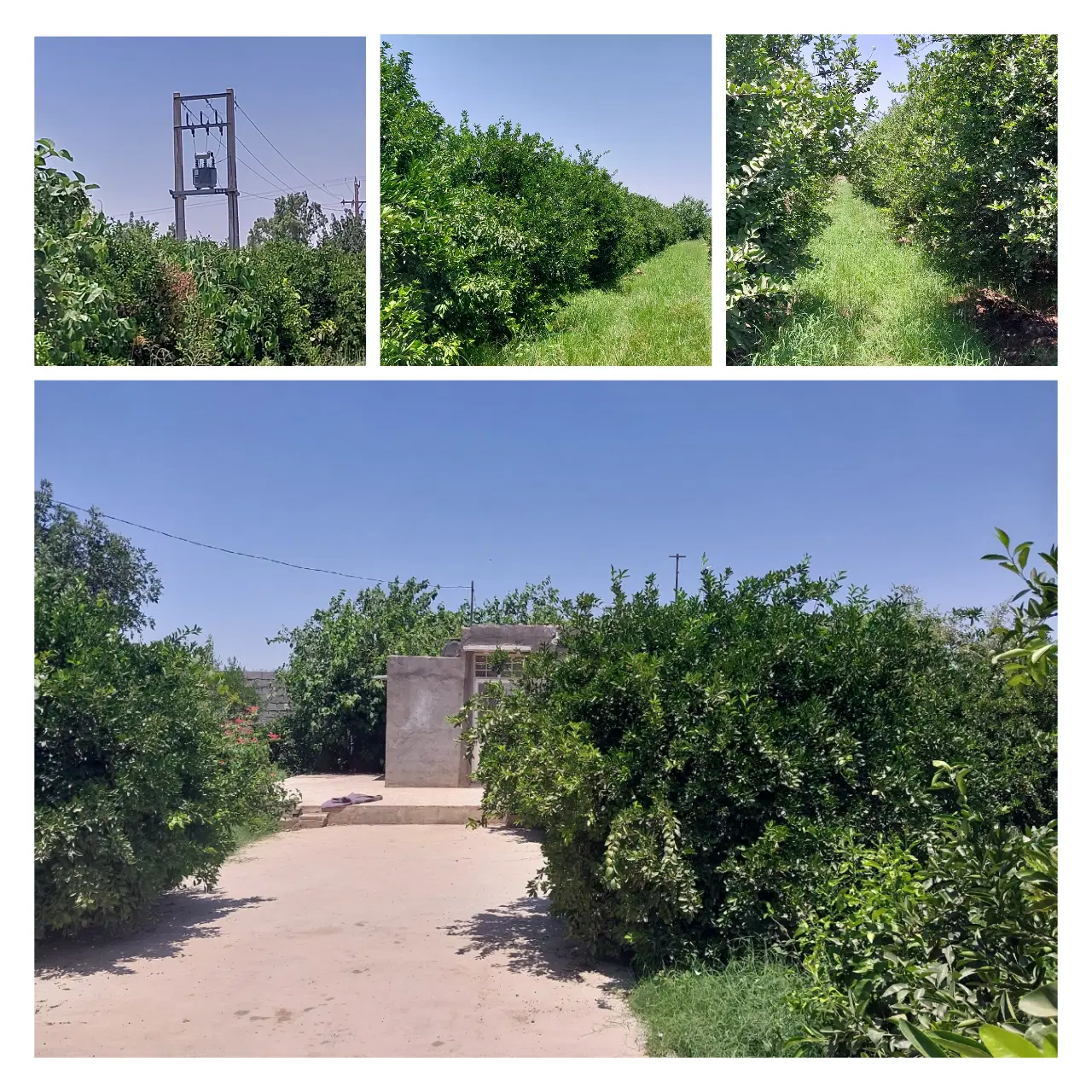 فروش قطعه ۶۰۰ متری با گازشهری