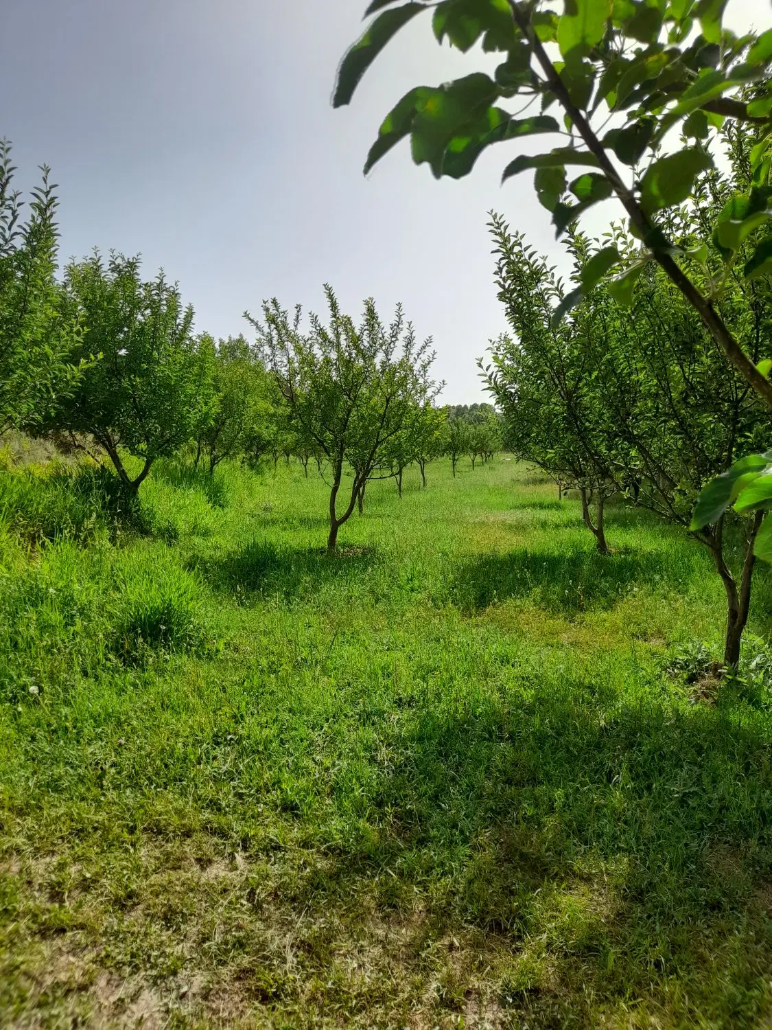 زمین ، چهاردیواری