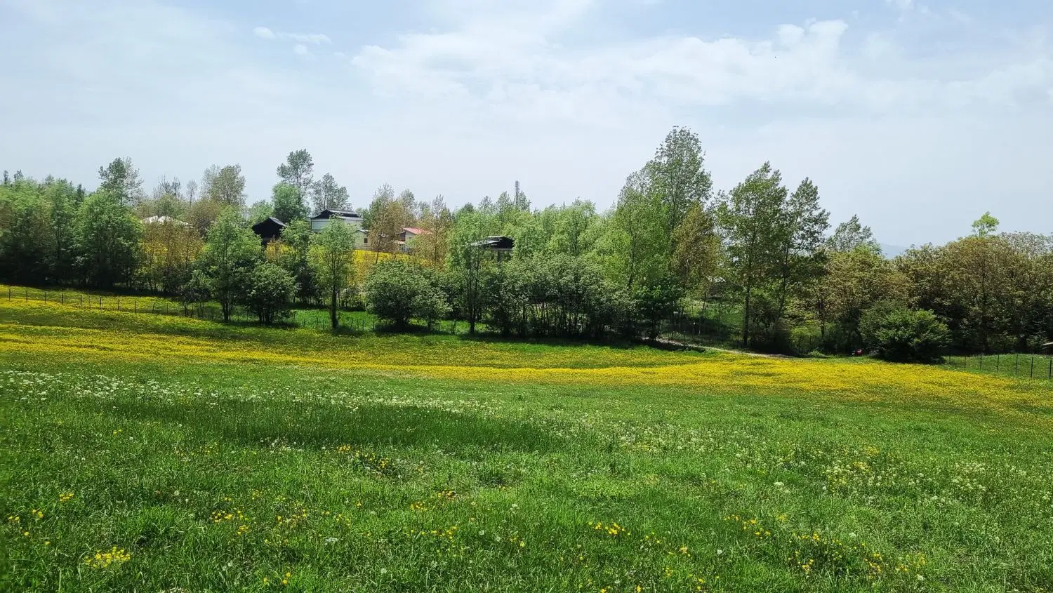 زمین مسکونی