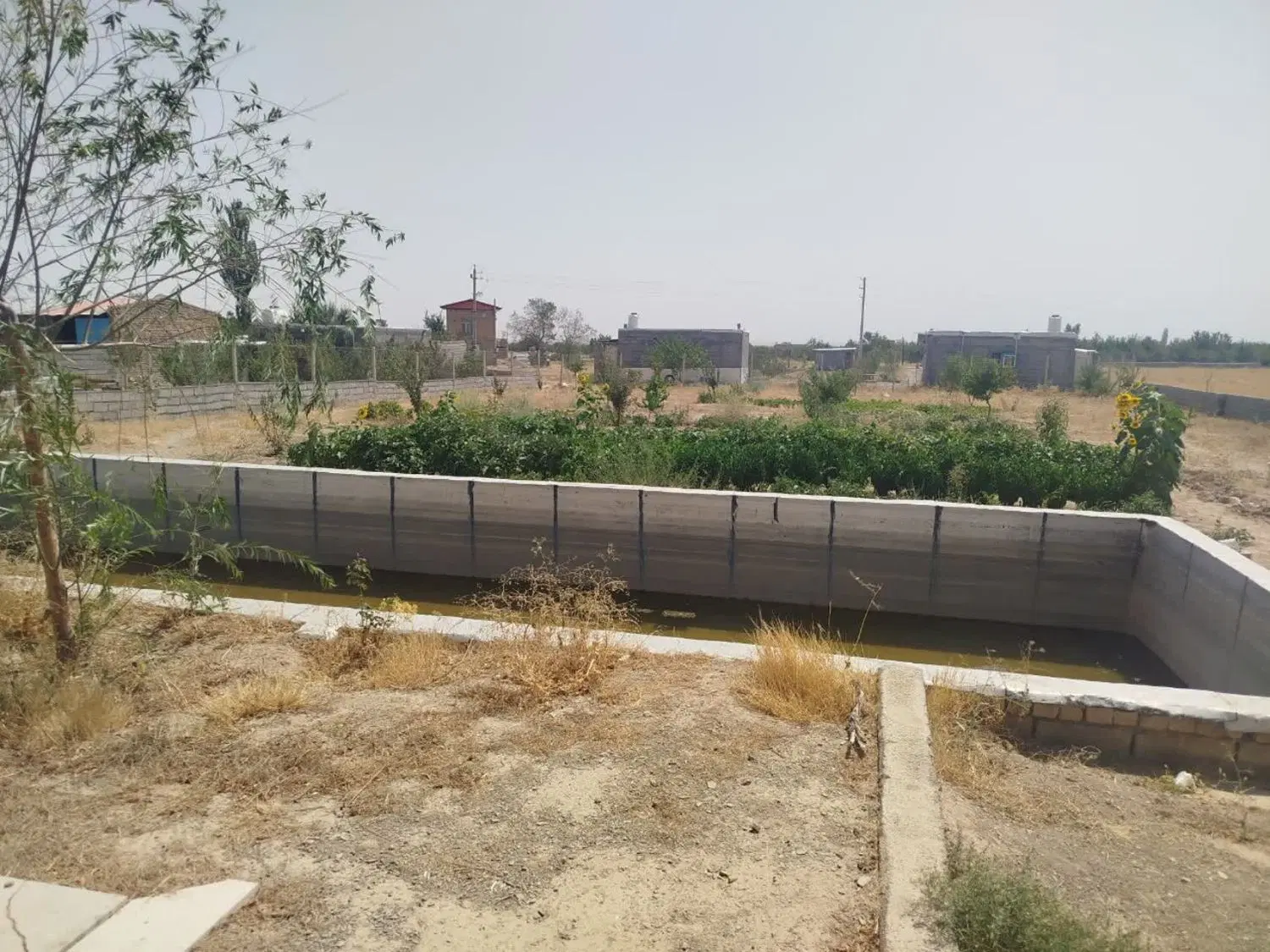 باغ