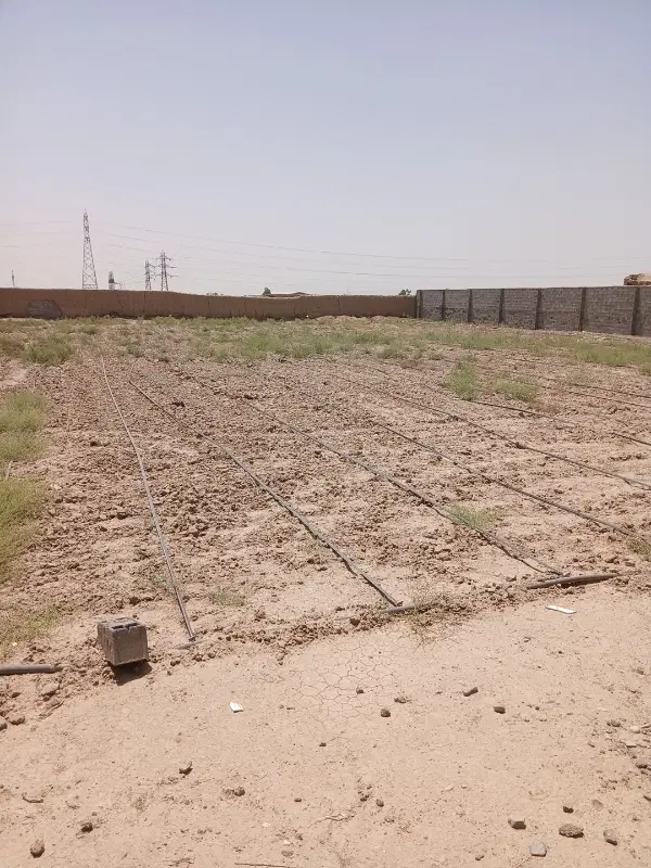 زمین چهاردیوراری مجزا