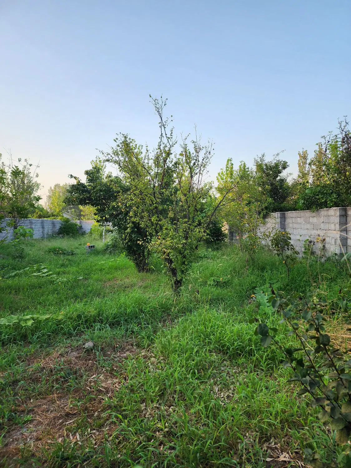 زمین تماما مسکونی روستایی