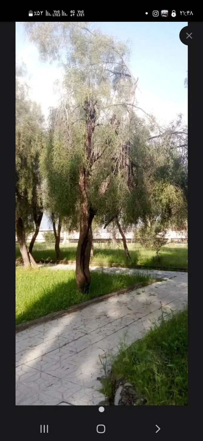 زمین مسکونی پهله