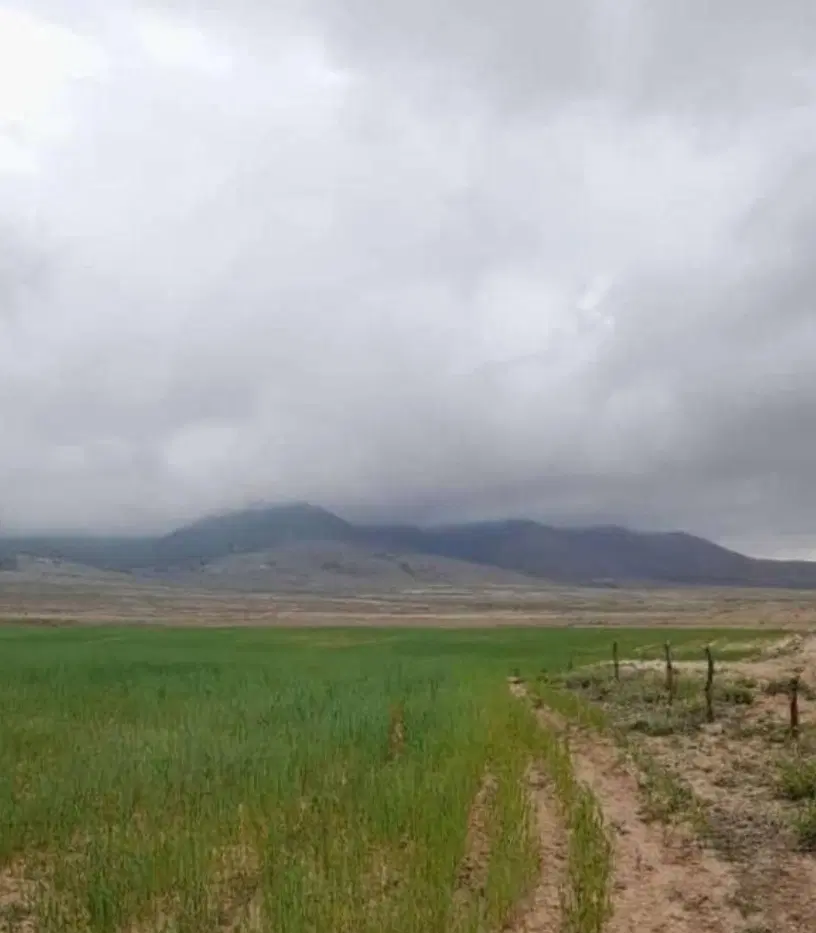 فروش زمین باغی